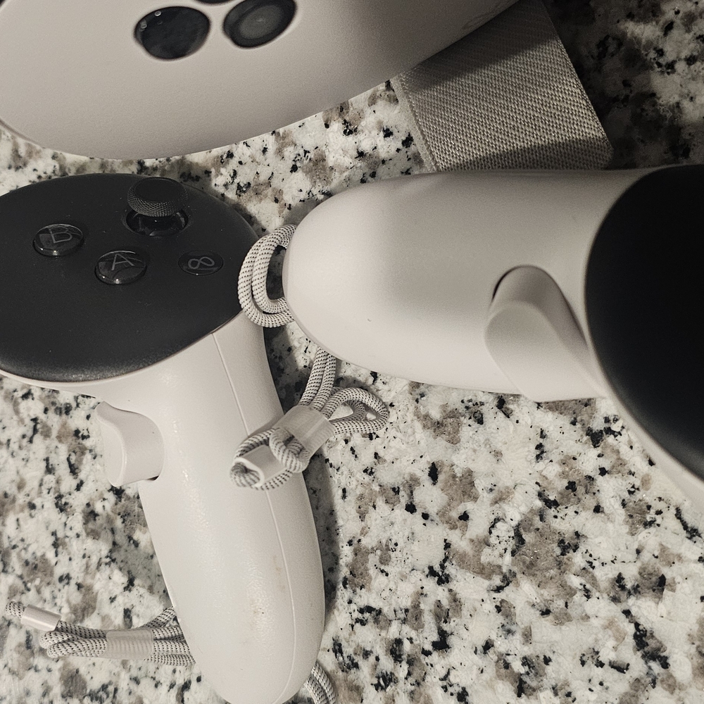 VR Controller Set - White and Black